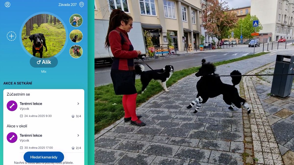 Ostravské trenérky učí psovštinu. Aby lidé věděli, co si psi mezi sebou povídají