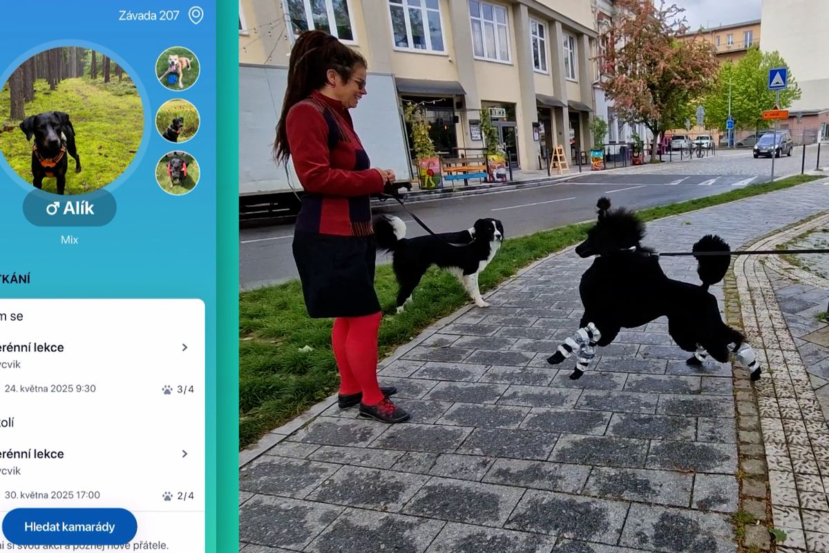 Ostravské trenérky učí psovštinu. Aby lidé věděli, co si psi mezi sebou povídají