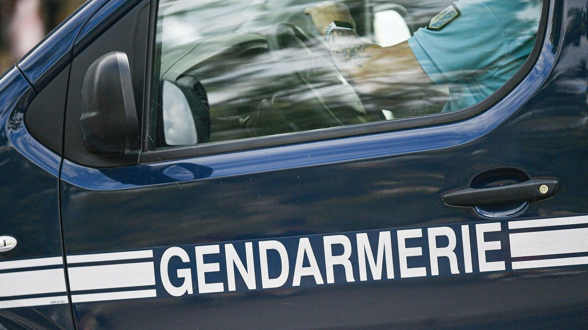 Jel 143 km/h v místě, kde je osmdesátka. Mladík ve Francii přišel o nové audi chvíli poté, co si ho koupil