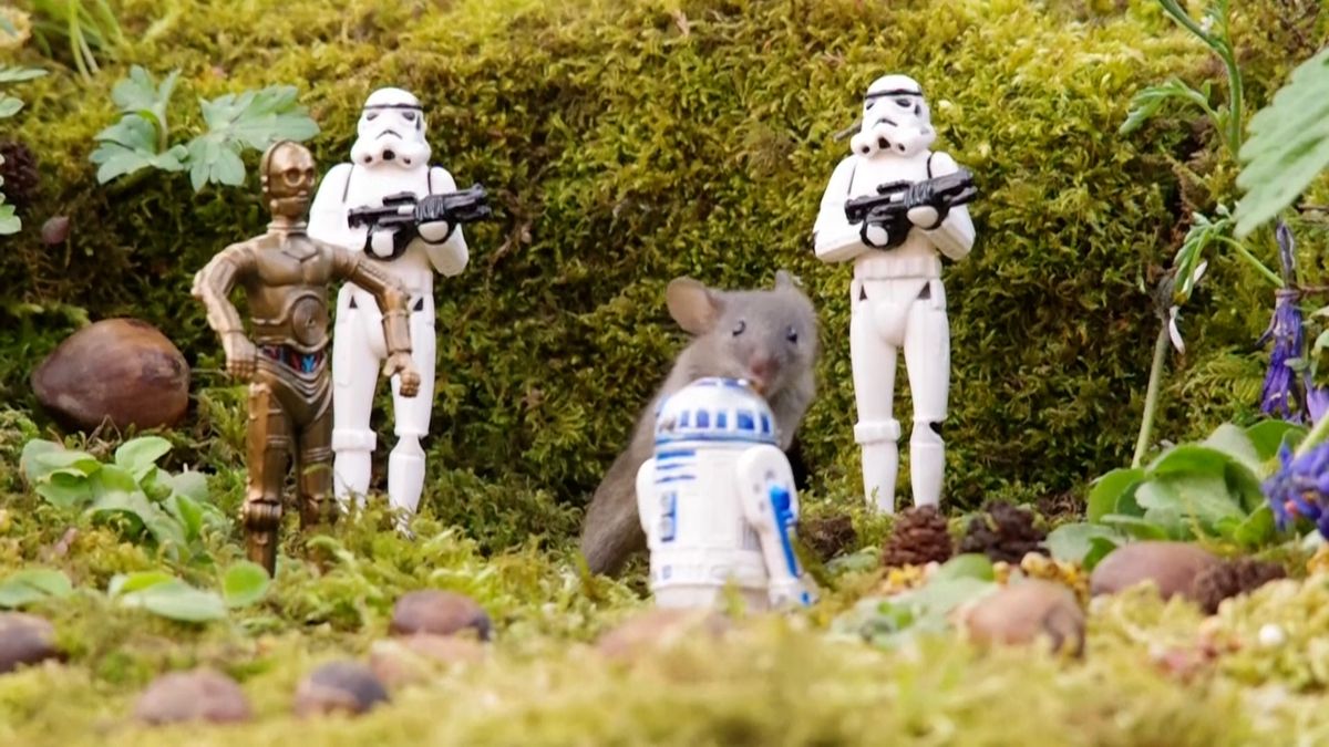 Slavné myšky George a spol. oslavily uplynulý víkend ve stylu Star Wars