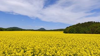 O víkendu k nám nakoukne léto, může být i třicet stupňů