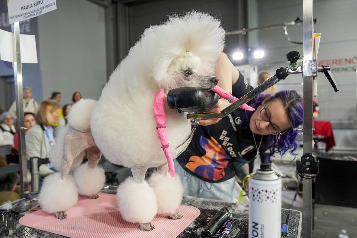 Tato rumunská soutěžící měla pro svého psa podpěrku pod hlavu