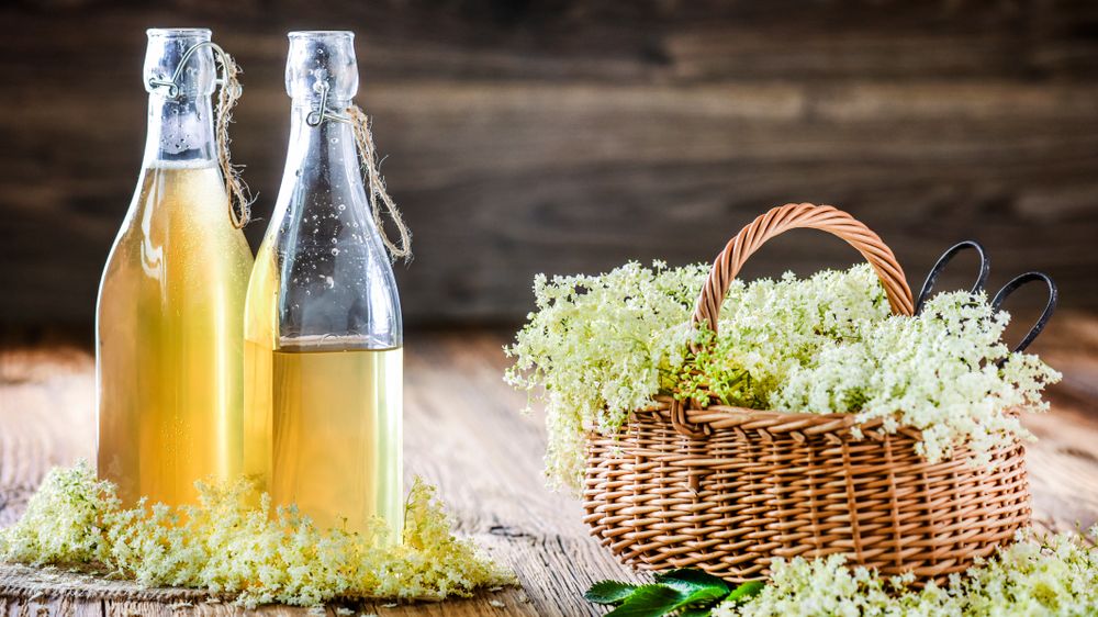Bezový sirup do salátu? Ano – a funguje to skvěle