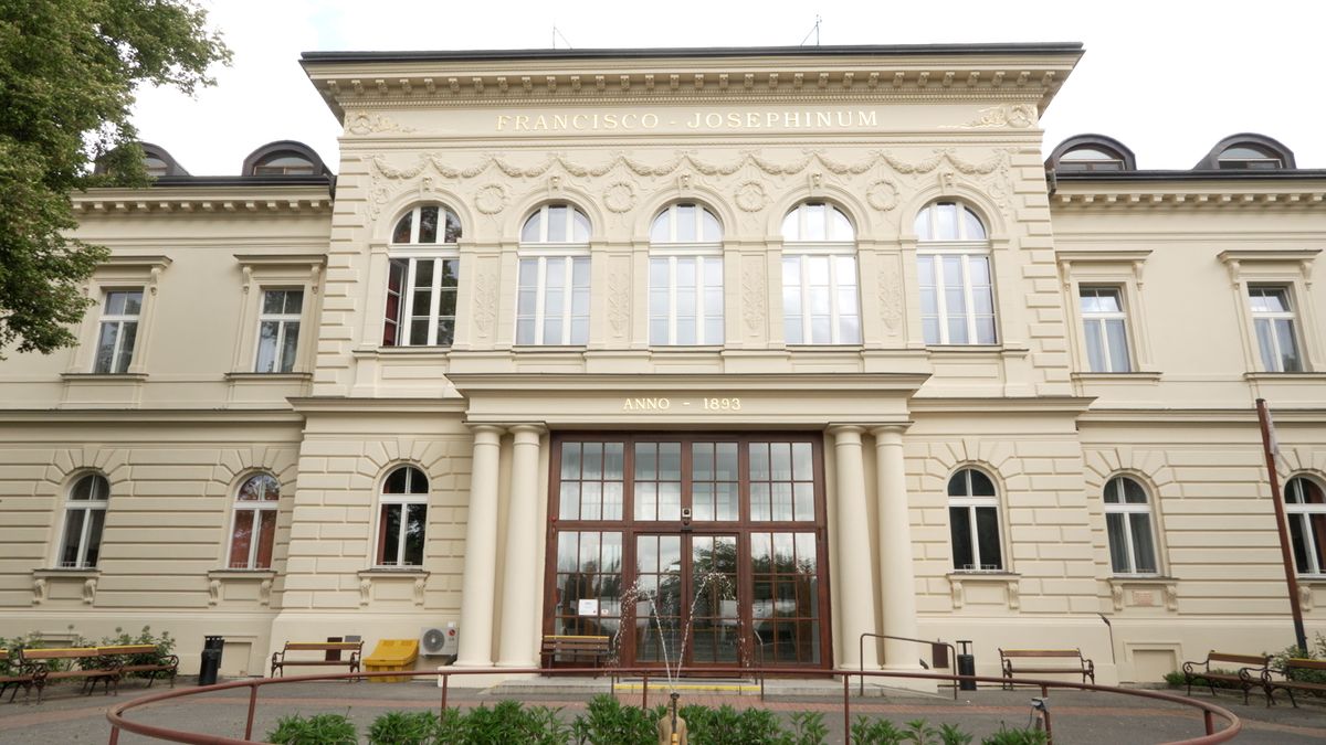 Nevidomí v domově Palata žili už za císaře pána. Nedávno obnovili vinici, která tu byla po staletí