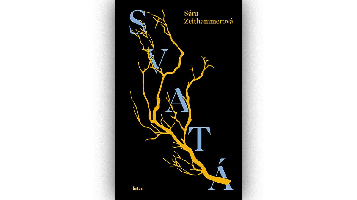 RECENZE: Svatá. Zjevení Panny Marie jako klíč k (ne)štěstí