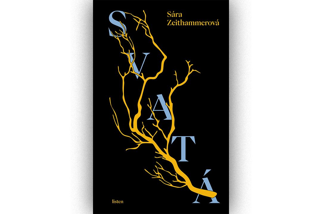 RECENZE: Svatá. Zjevení Panny Marie jako klíč k (ne)štěstí