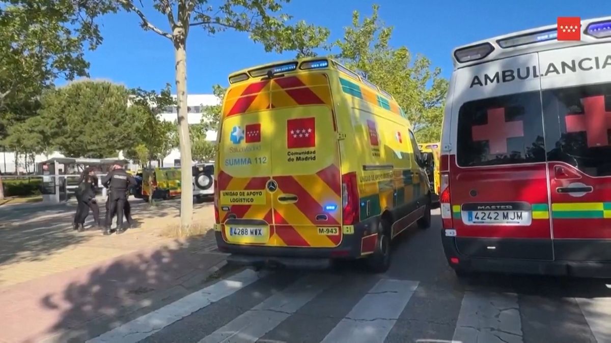 V Madridu zastřelili někdejšího poradce ukrajinského exprezidenta Janukovyče