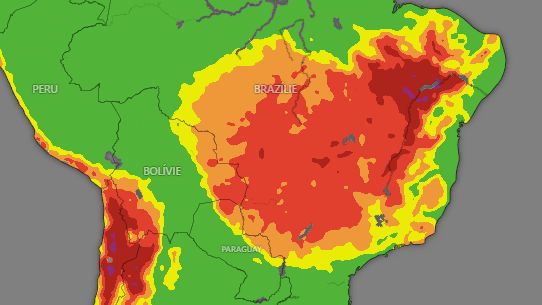 Osmnáct fotbalových hřišť za minutu. Tempo úbytku tropického pralesa bylo loni rekordní