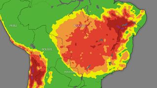 Osmnáct fotbalových hřišť za minutu. Tempo úbytku tropického pralesa bylo loni rekordní