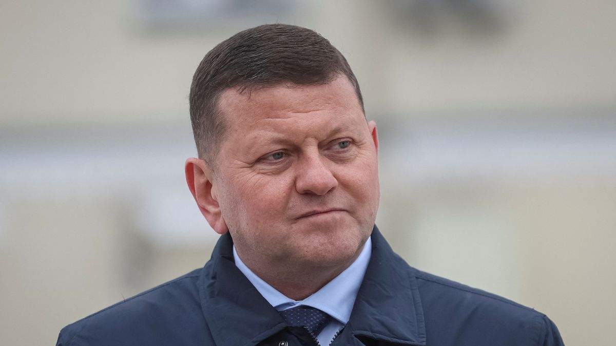Bývalý šéf ukrajinské armády Zalužnyj se chystá kandidovat proti Zelenskému