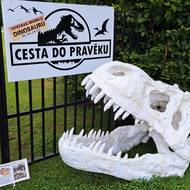 Lebka tyranosaura měří na délku 130 cm.