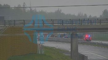 Srnky přerušily provoz na dálnici D3