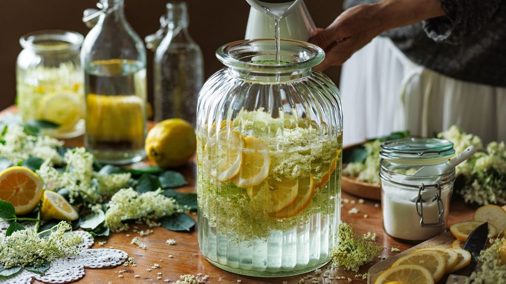 Zrovna kvete černý bez. Připravte si voňavý sirup nebo skvostné dezerty