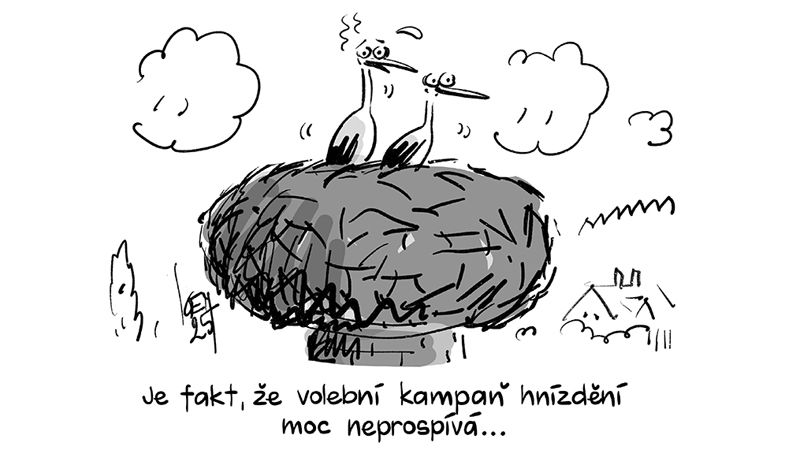 KEMEL: Hnízdění čápů