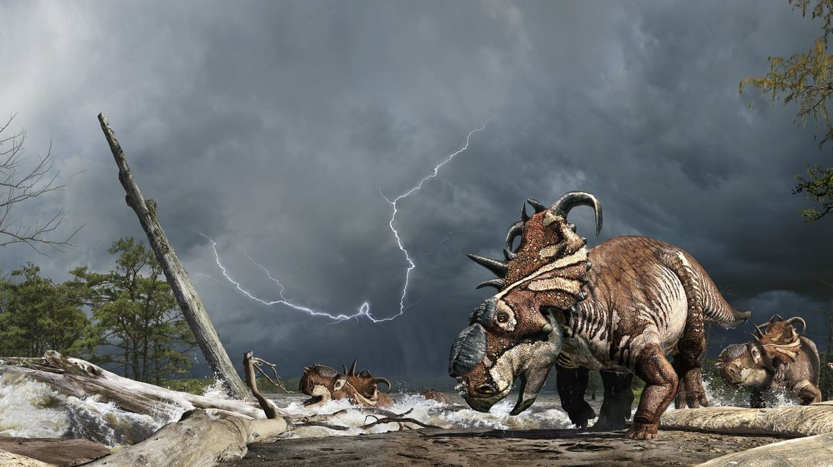 Paleontologové objevili na kanadské „řece smrti“ 8000 dinosauřích kostí