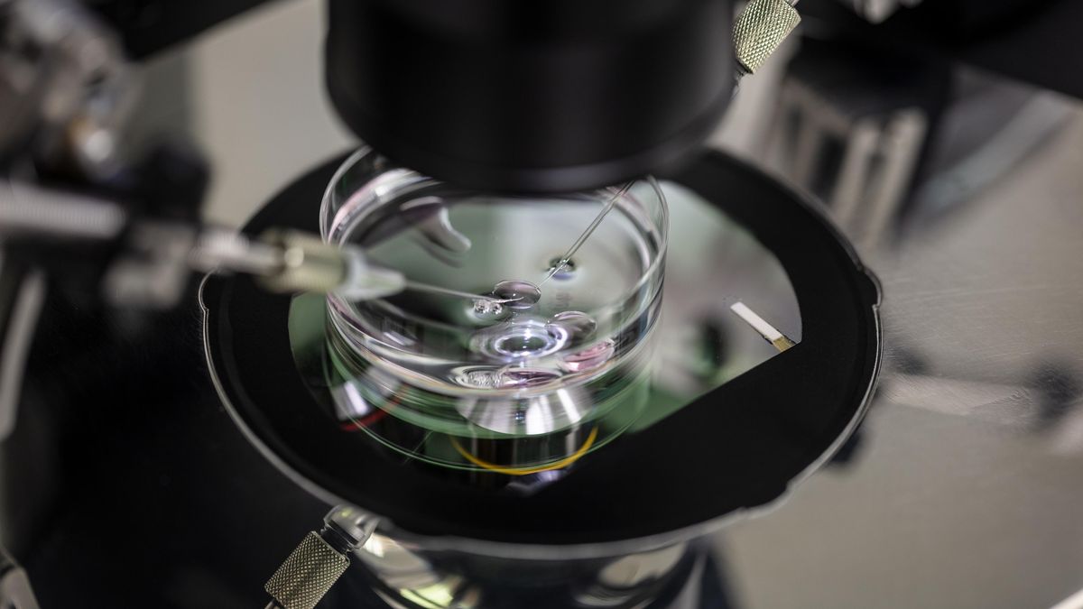 Pouze desetkrát a řada testů. Dárci spermatu jsou v Česku přísně kontrolováni