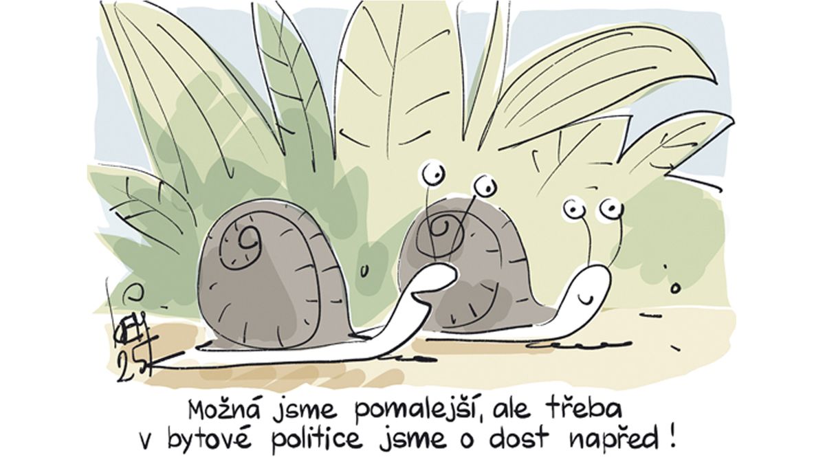 KEMEL: Otázka bydlení