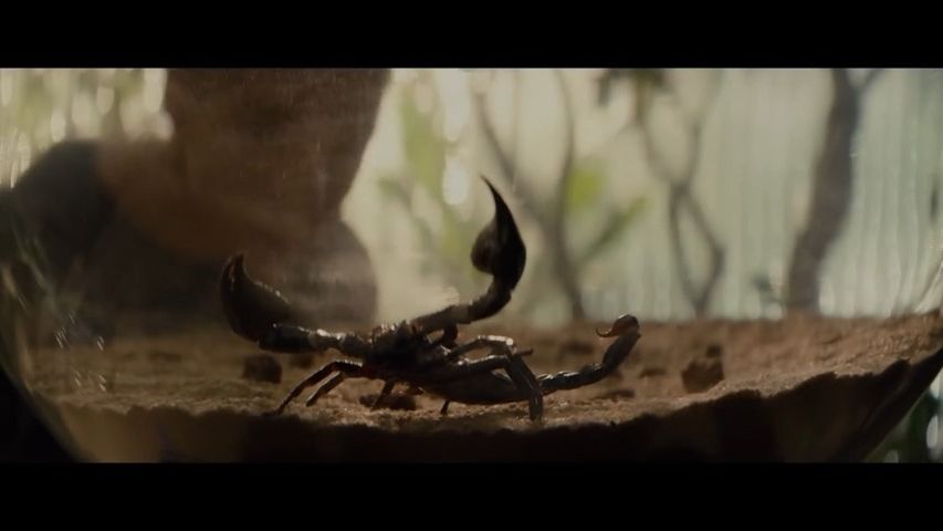 Po Romulovi přichází Země. Seriálový Vetřelec představuje svůj trailer