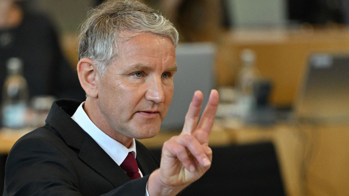Extremistů v řadách AfD prudce přibývá, varují němečtí zpravodajové