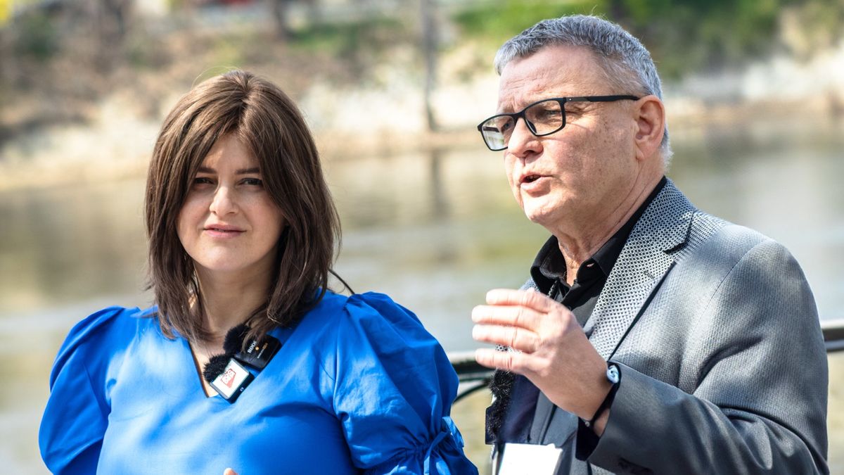SOCDEM půjde do voleb samostatně