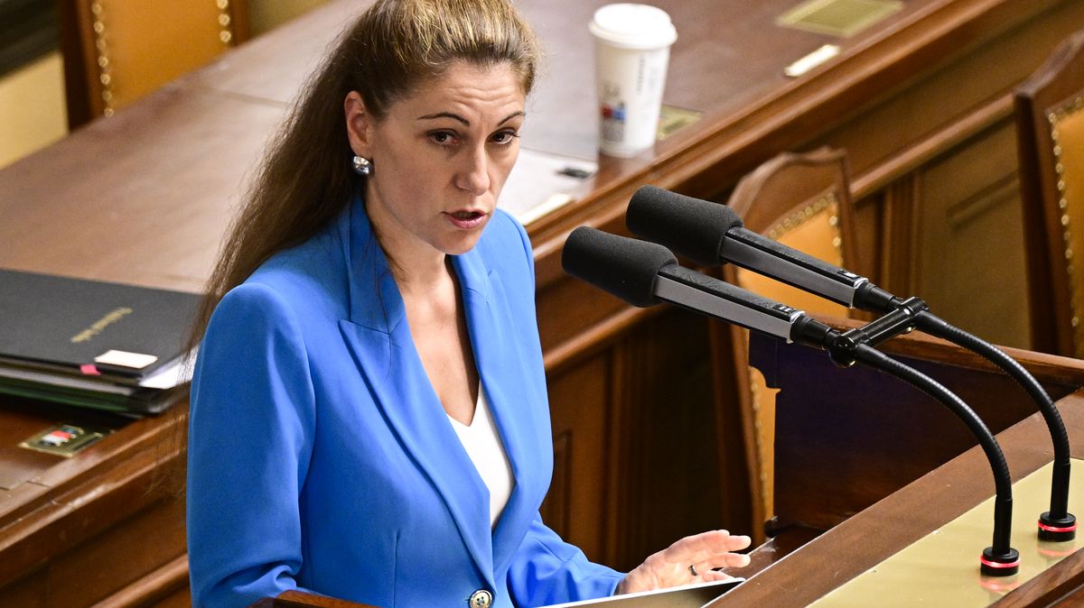 Decroix představila vládě časovou osu bitcoinové kauzy. Je precizní, říká Fiala