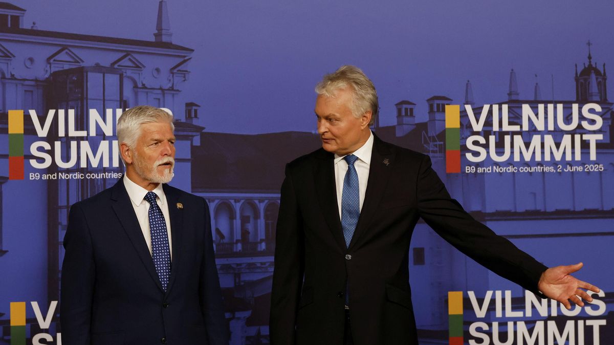 Země východního a severního křídla NATO podporují členství Ukrajiny v alianci