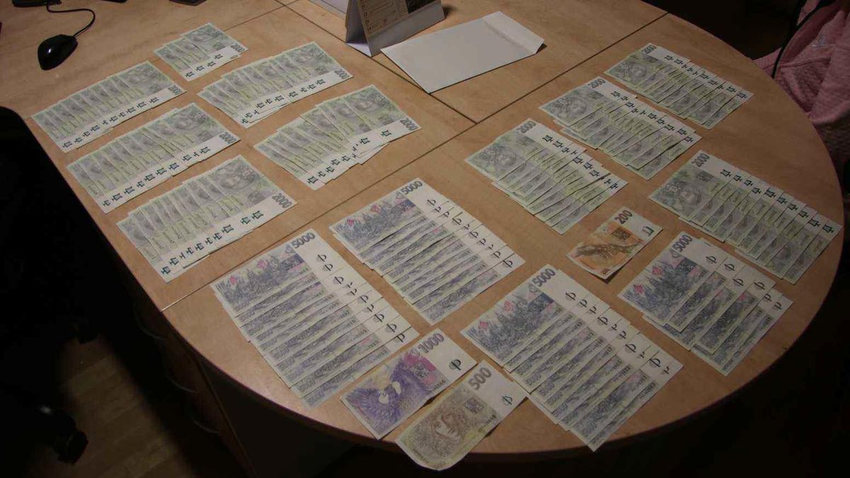 Muž z Plzeňska si domů přivedl bezdomovkyni. Když se sprchoval, sebrala mu statisíce schované pod kobercem