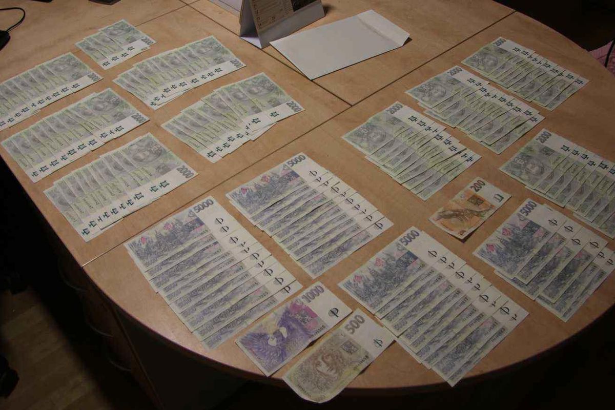 Muž z Plzeňska si domů přivedl bezdomovkyni. Když se sprchoval, sebrala mu statisíce schované pod kobercem
