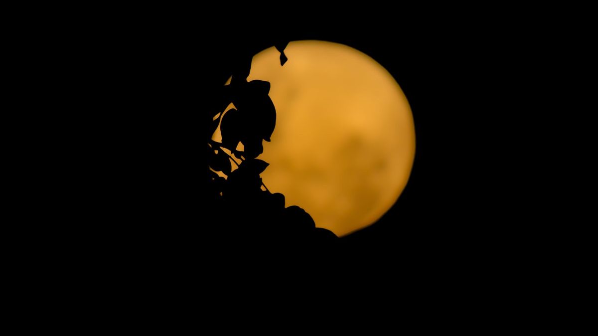 V noci svítil oranžový Měsíc. Možná se dočkáme i barevného východu a západu slunce