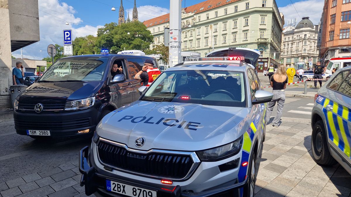 Muž z Brna volal na linku 158. Ptal se, kolik dostane let za vraždu své přítelkyně