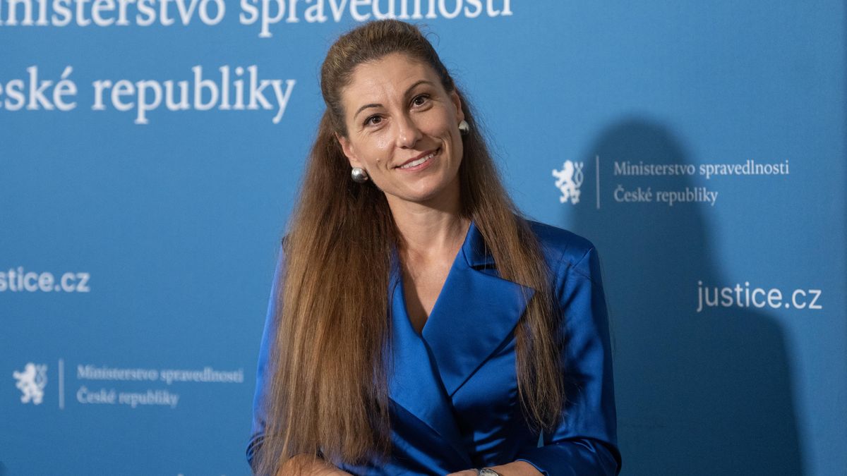 Decroix počítá s variantou, že bitcoiny i peníze z nich budou ministerstvu zabaveny