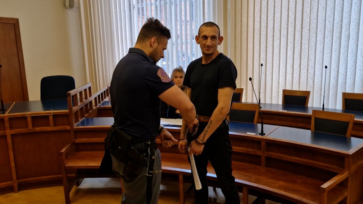 Znásilnil opilou dvanáctiletou dívku na záchodech nádraží v Brně. Dostal sedm let