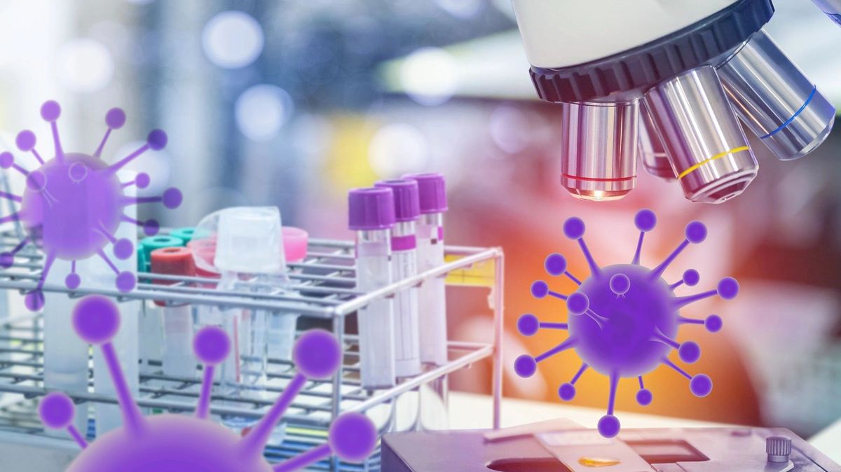 Průlom v hledání léku na HIV: vědci učinili důležitý krok k jeho úplnému odstranění z těla