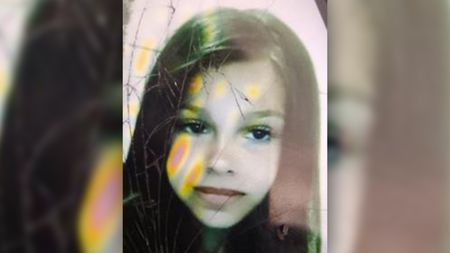 V Českých Budějovicích pátrají po devítileté dívce. Zřejmě spadla do Vltavy