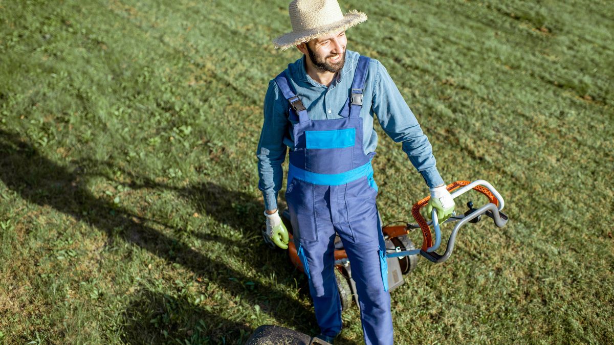 Přehledně: Jak má vypadat správná péče o trávník v průběhu celého léta