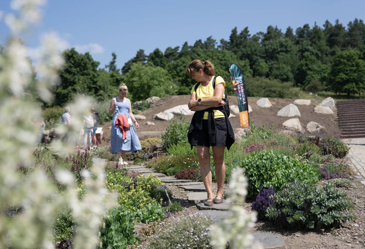 V rámci expozice byly vybudovány ukázky ohrožených biotopů.