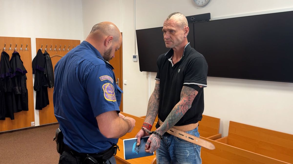 Chovatel hadů přepadl benzínku na Plzeňsku s atrapou bomby. Dostal dva a půl roku
