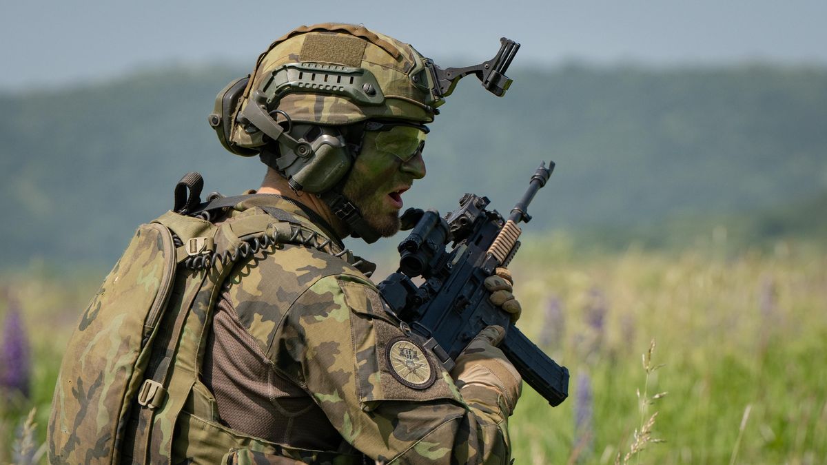 Dohlížet na příměří na Ukrajině by mohli i čeští vojáci. Obrana to nevylučuje