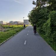 Azbestová skládka se nalézá pár desítek metrů od cyklostezky na Rohanském ostrově. (11. 6. 2025)