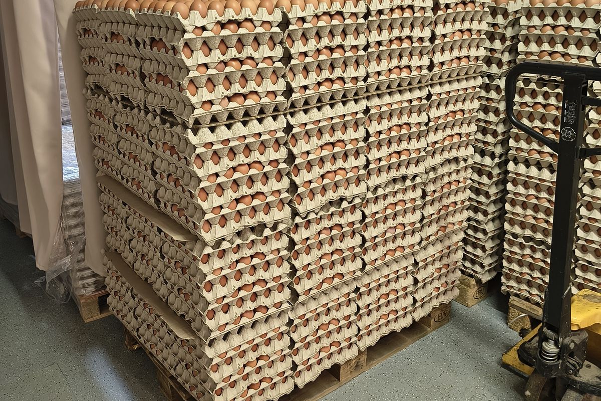 Za vejce či drůbež si v říjnu zákazníci připlatili, ušetřili třeba na koksu