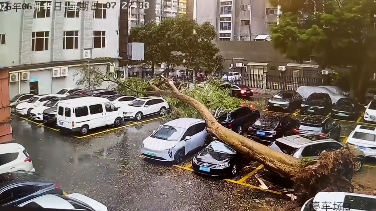Auto na parkovišti uniklo padajícímu stromu jen o vlásek