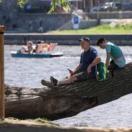 Střelecký ostrov na Vltavě. Když se nechce do vody, tak aspoň do stínu. 