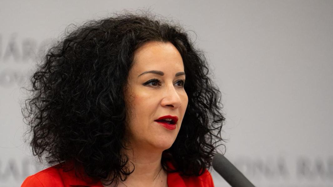 Progresivní Slovensko podalo trestní oznámení kvůli zmizení busty od Donatella