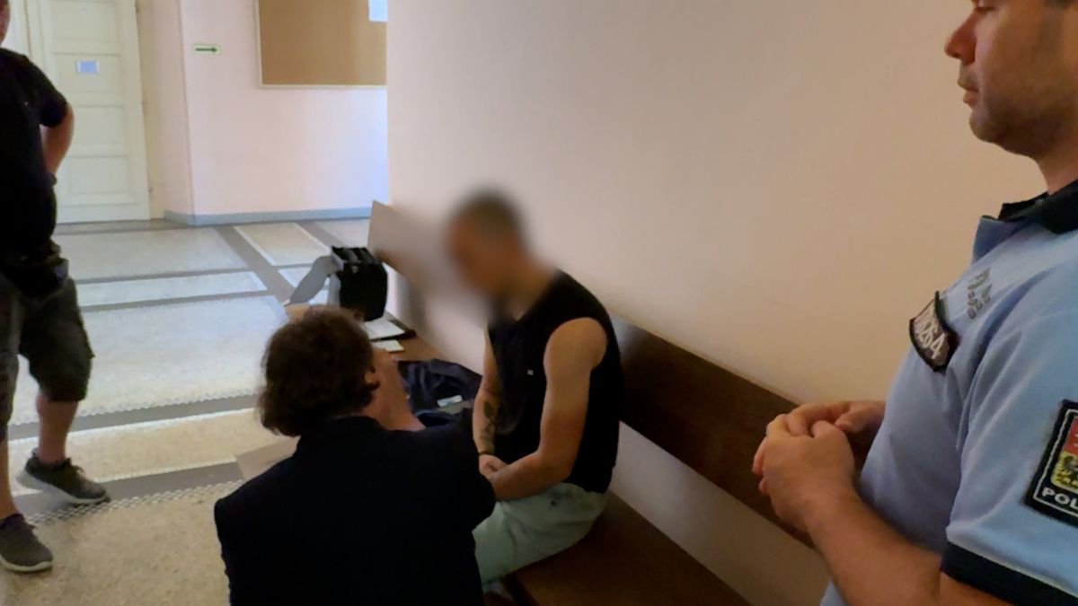 Mladík z Ukrajiny byl obviněn za nehodu na Domažlicku. Zemřeli při ní čtyři jeho krajani