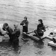 Točilo se na ostrově Martha's Vineyard. I proto, že zdejší pláže mají velmi pozvolný vstup do vody. 