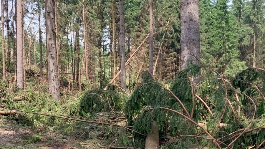 Vstup zakázán. Lidé na Jablunkovsku se nedostanou do okolních lesů