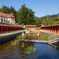 Okrasný biotop s návštěvníky