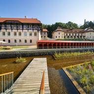 Molo s přístupem do biotopu