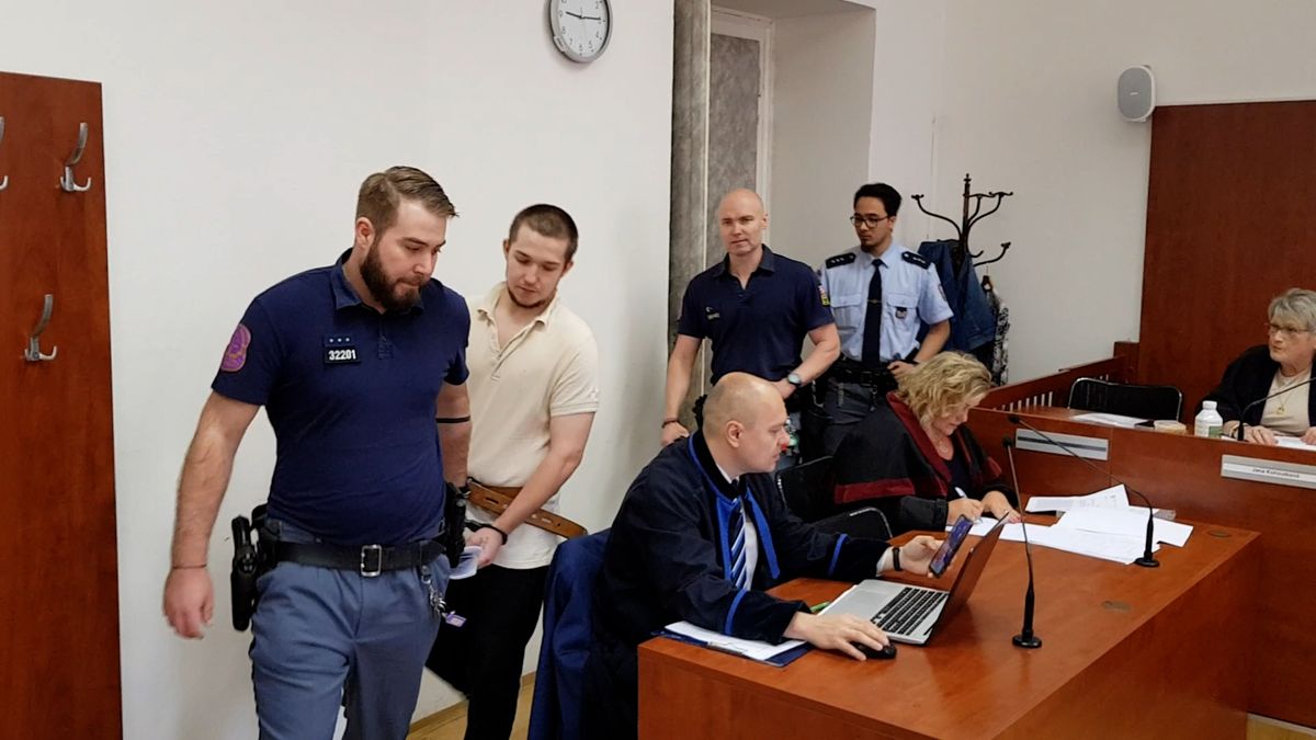 Devatenáctiletou expřítelkyni zavraždil, pohřbil v garáži a rozfofroval její milion. Dostal 20 let