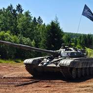 Letošní ukázky se kromě techniky české armády účastnily také vozy ze sousedního Slovenska a Polska.